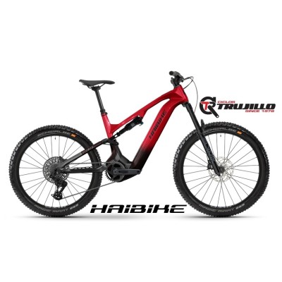 HAIBIKE ALLMTN CF 9 / C1