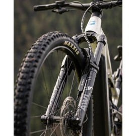 FOCUS THRON2 6.8 ABS 800 WH Plata | Ciclos Trujillo Terrassa