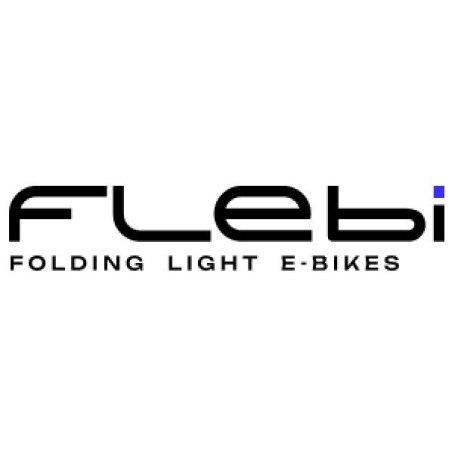 FLEBI ( Folding Light Ebikes )