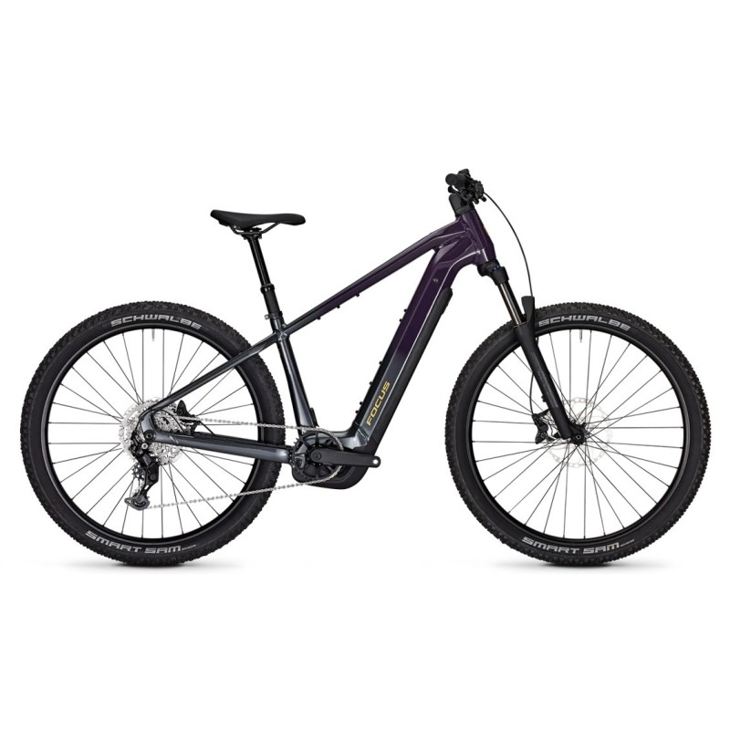 FOCUS JARIFA² 6.7 2026 Violeta | Ciclos Trujillo