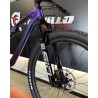 Lapierre XR 9.9 2025 | Ciclos Trujillo Terrassa