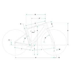CANNONDALE SYNAPSE NEO ALLROAD 2 | CICLOS TRUJILLO TERRASSA